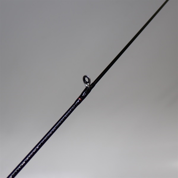 ２０月下美人６１０Ｌ－Ｓ